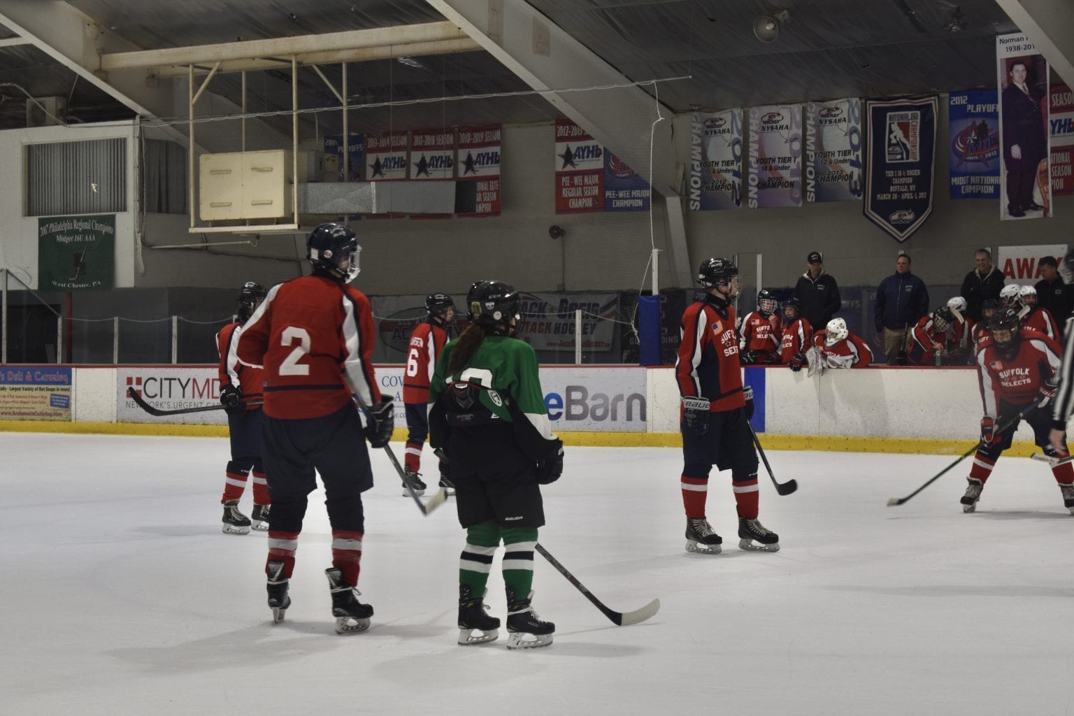 Hockey discoveries in Iceland Women's Hockey Life